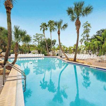 סלבריישן Tropical Palms Resort מראה חיצוני תמונה